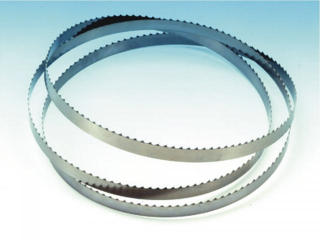 Πριονοκορδέλες salvador